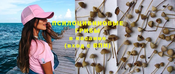 spice Богородицк